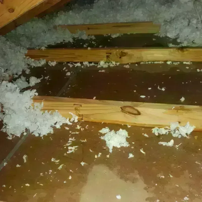 Attic Water Damage in Washougal, WA